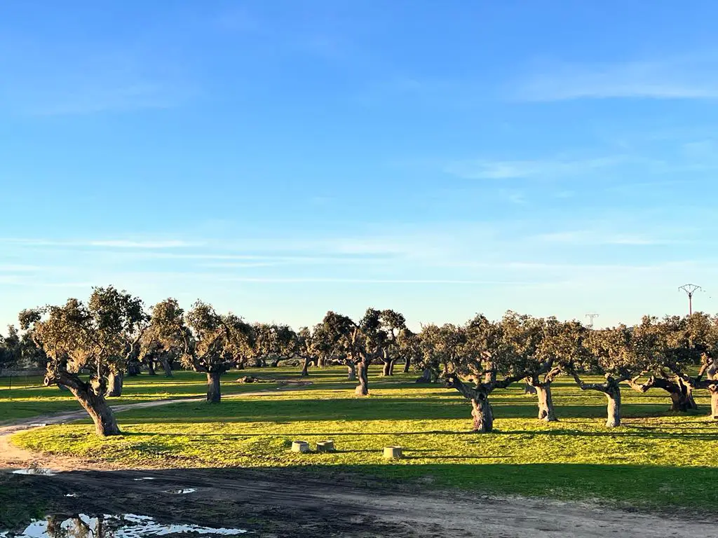 Finca rustica Inversiones Salamanca 2