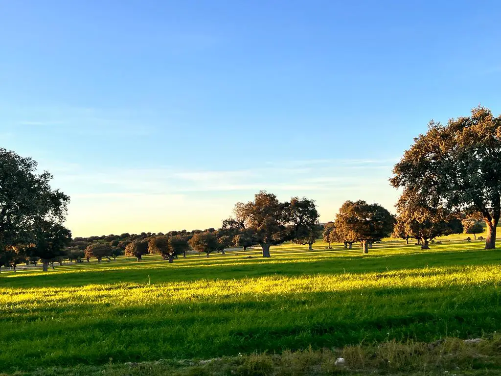 Finca rustica Inversiones Salamanca 3