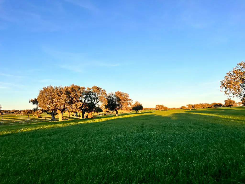 Finca rustica Inversiones Salamanca 5