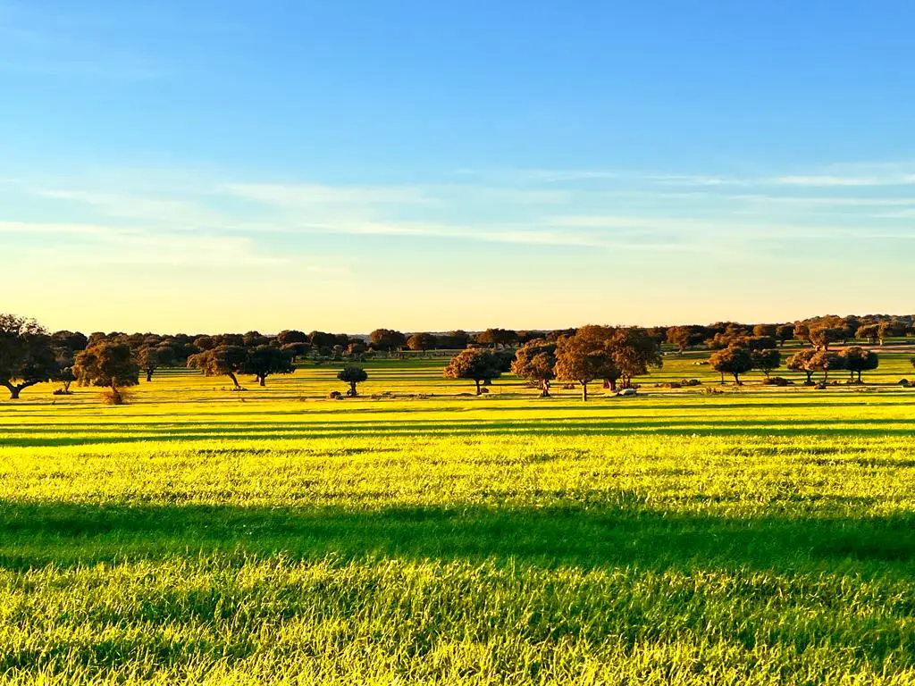Finca rustica Inversiones Salamanca